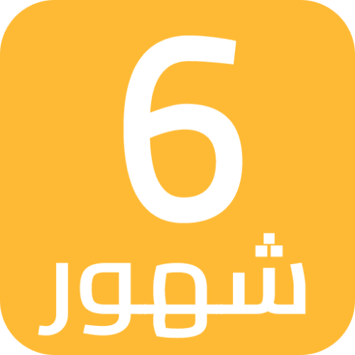 6M